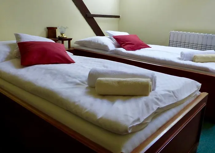 Nobys ホテル Nová Bystřice